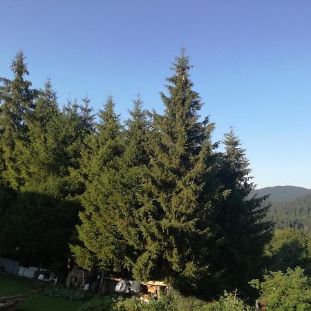 Apartmán Kuca Za Odmor "Jasna" Crni Lug Exteriér fotografie