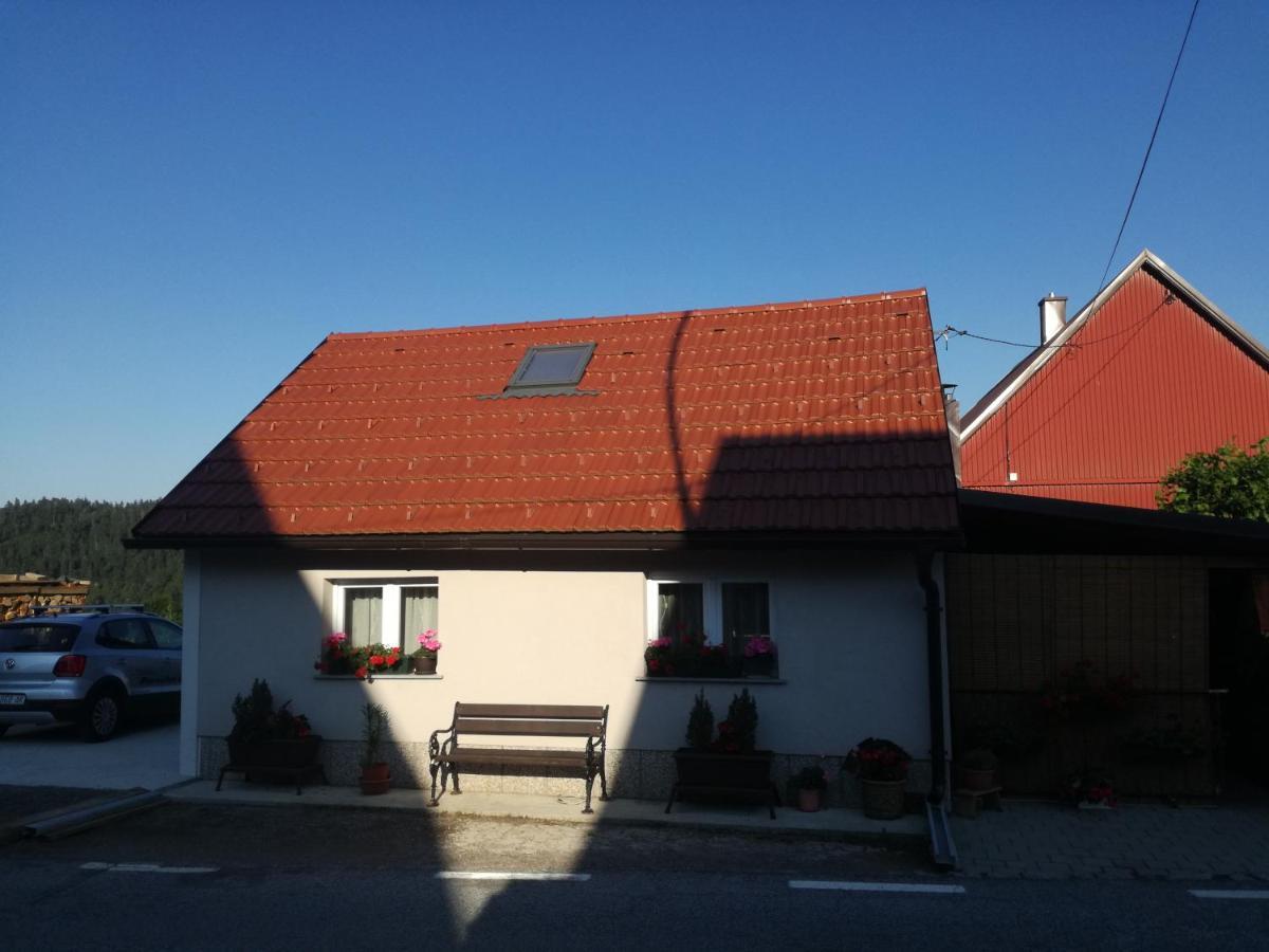 Apartmán Kuca Za Odmor "Jasna" Crni Lug Exteriér fotografie