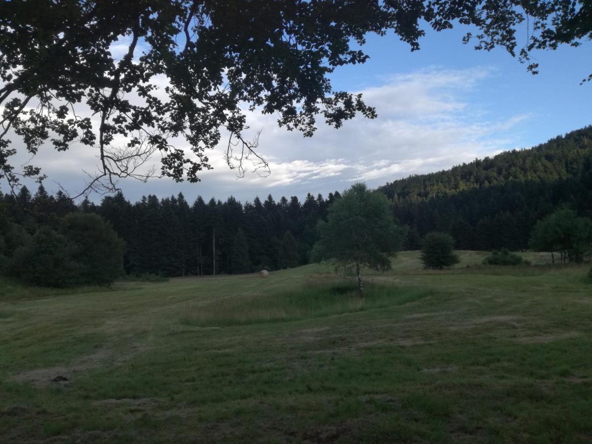 Apartmán Kuca Za Odmor "Jasna" Crni Lug Exteriér fotografie