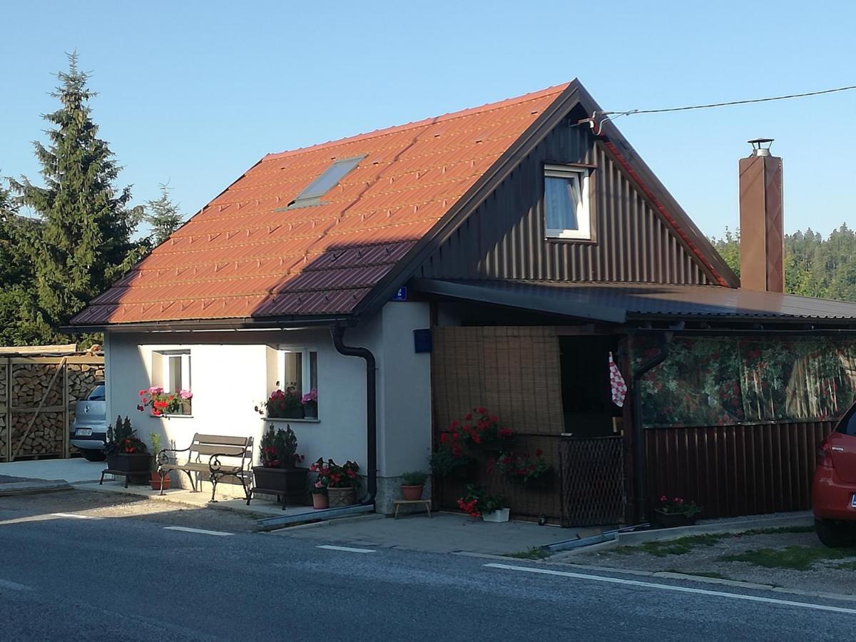 Apartmán Kuca Za Odmor "Jasna" Crni Lug Exteriér fotografie