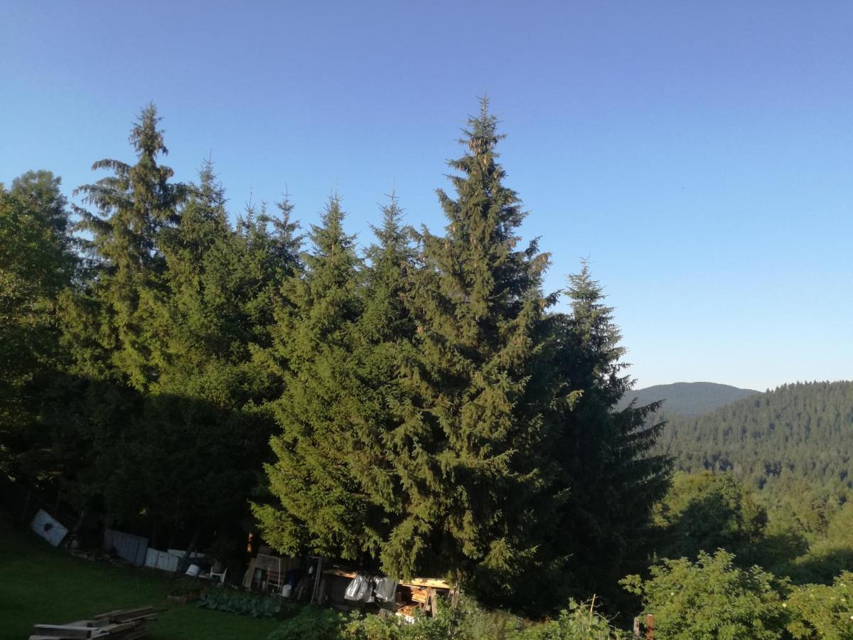 Apartmán Kuca Za Odmor "Jasna" Crni Lug Exteriér fotografie