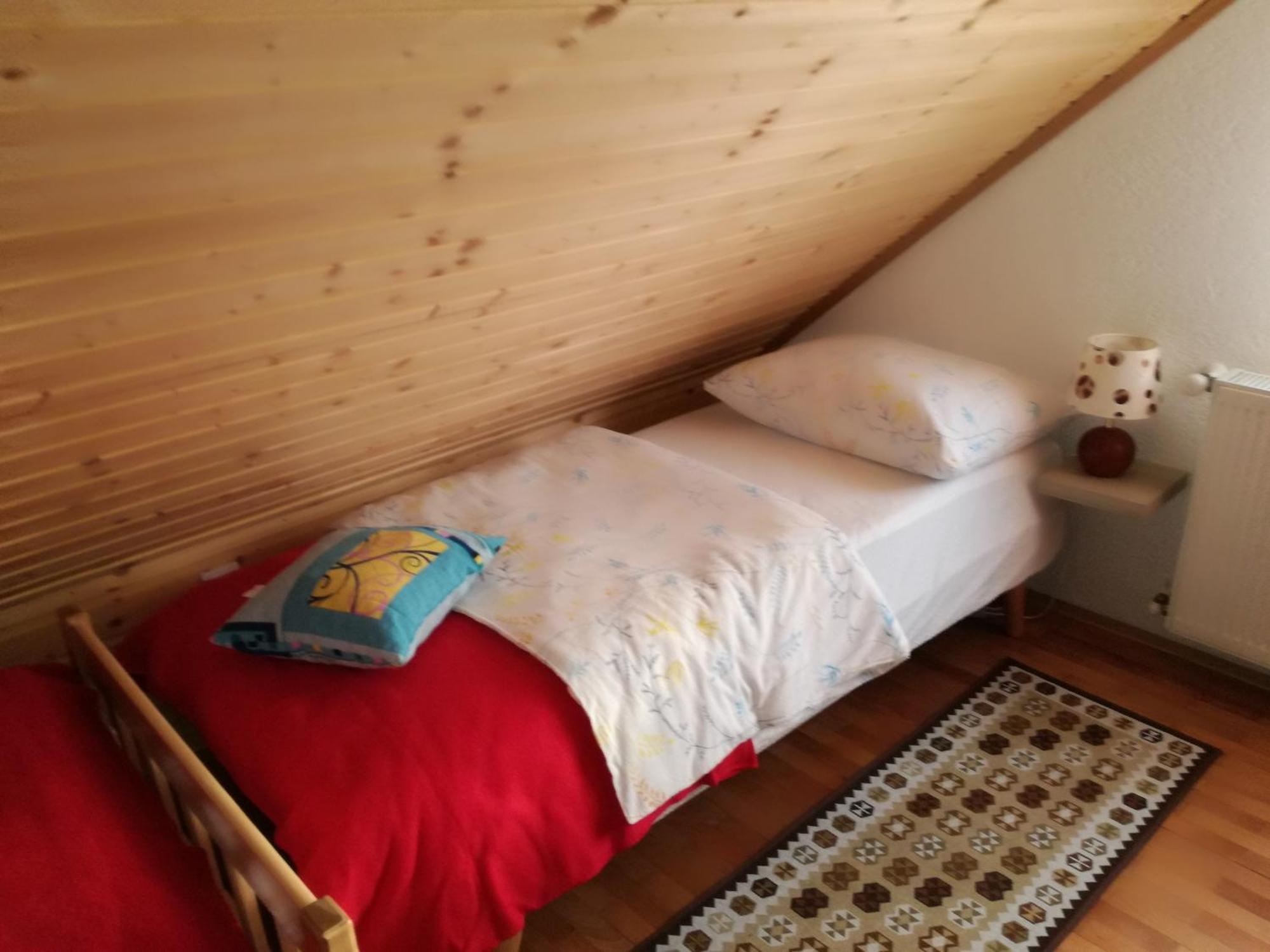 Apartmán Kuca Za Odmor "Jasna" Crni Lug Exteriér fotografie