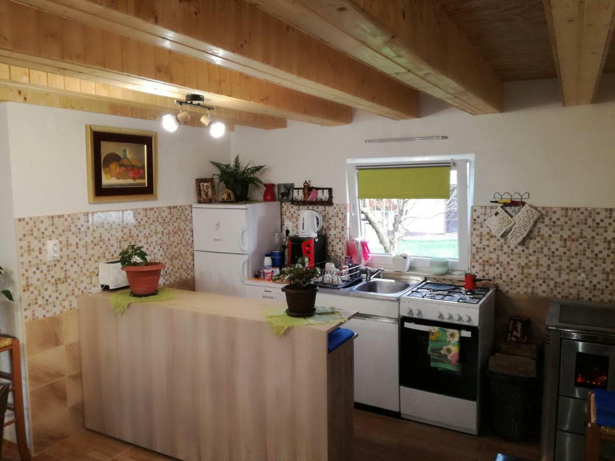 Apartmán Kuca Za Odmor "Jasna" Crni Lug Exteriér fotografie