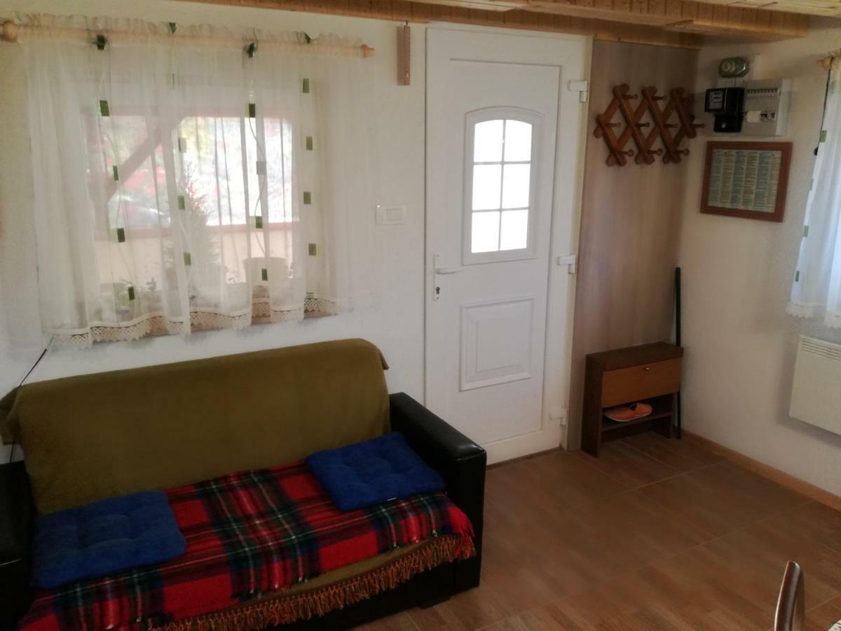 Apartmán Kuca Za Odmor "Jasna" Crni Lug Exteriér fotografie