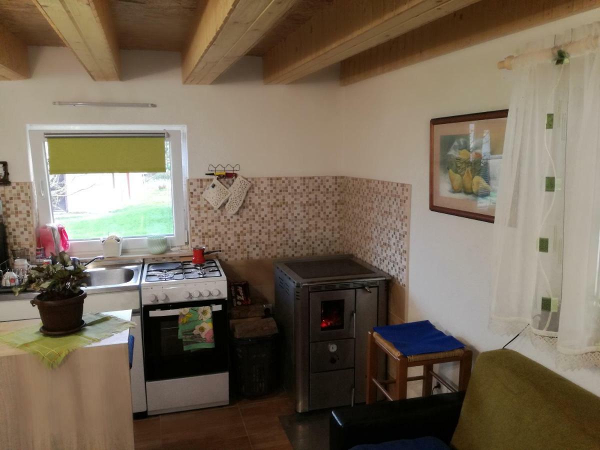 Apartmán Kuca Za Odmor "Jasna" Crni Lug Exteriér fotografie
