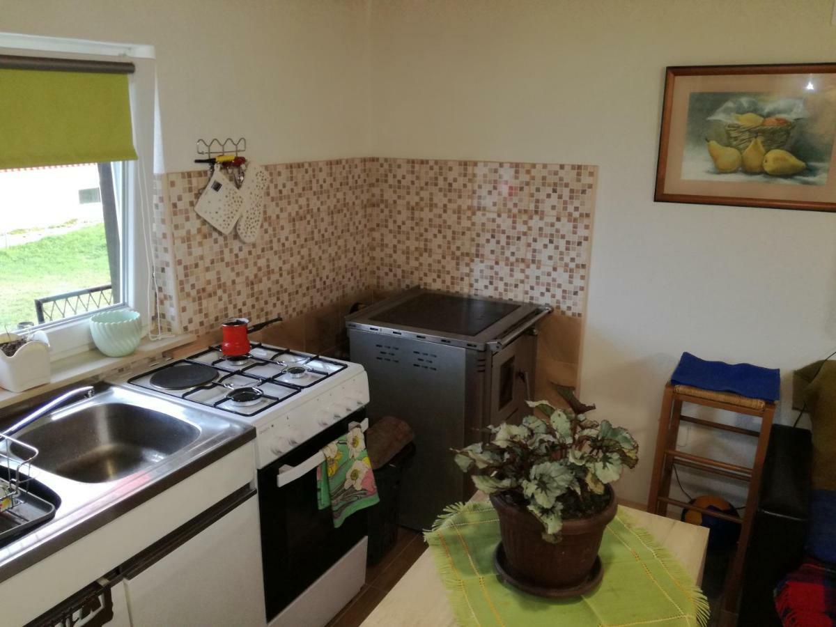 Apartmán Kuca Za Odmor "Jasna" Crni Lug Exteriér fotografie
