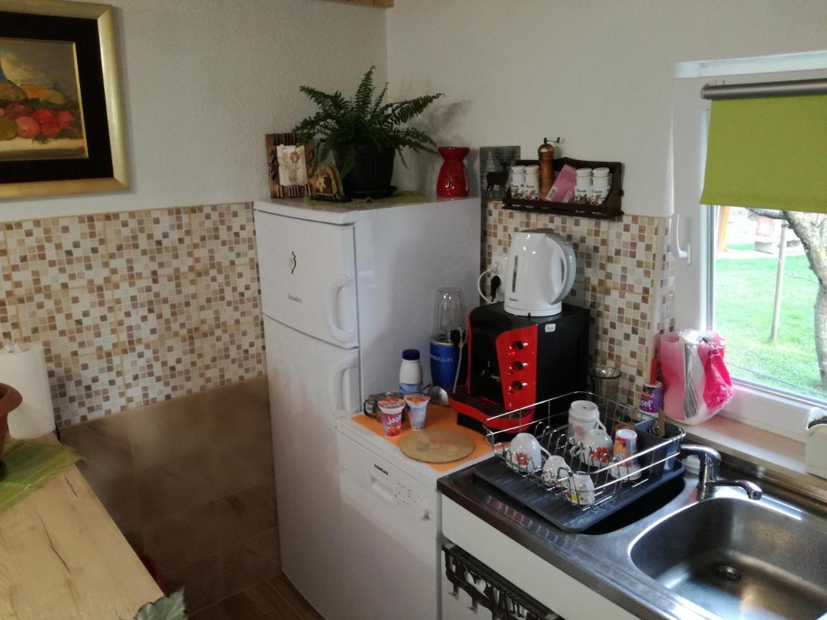 Apartmán Kuca Za Odmor "Jasna" Crni Lug Exteriér fotografie