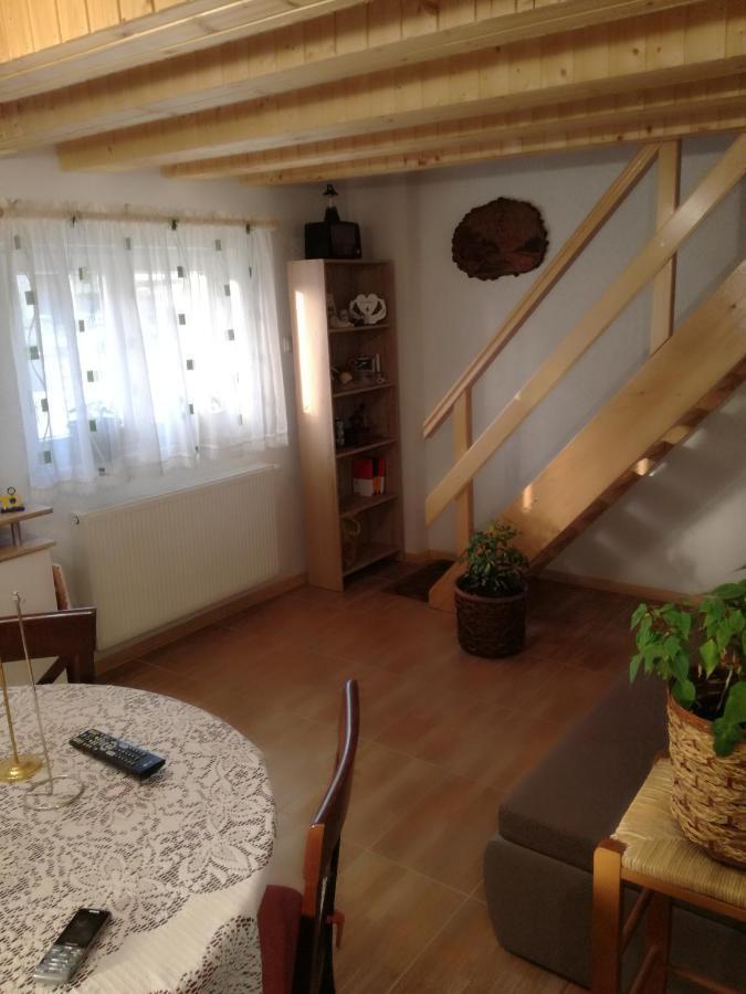 Apartmán Kuca Za Odmor "Jasna" Crni Lug Exteriér fotografie