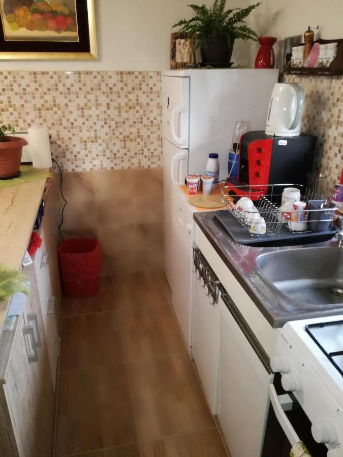 Apartmán Kuca Za Odmor "Jasna" Crni Lug Exteriér fotografie