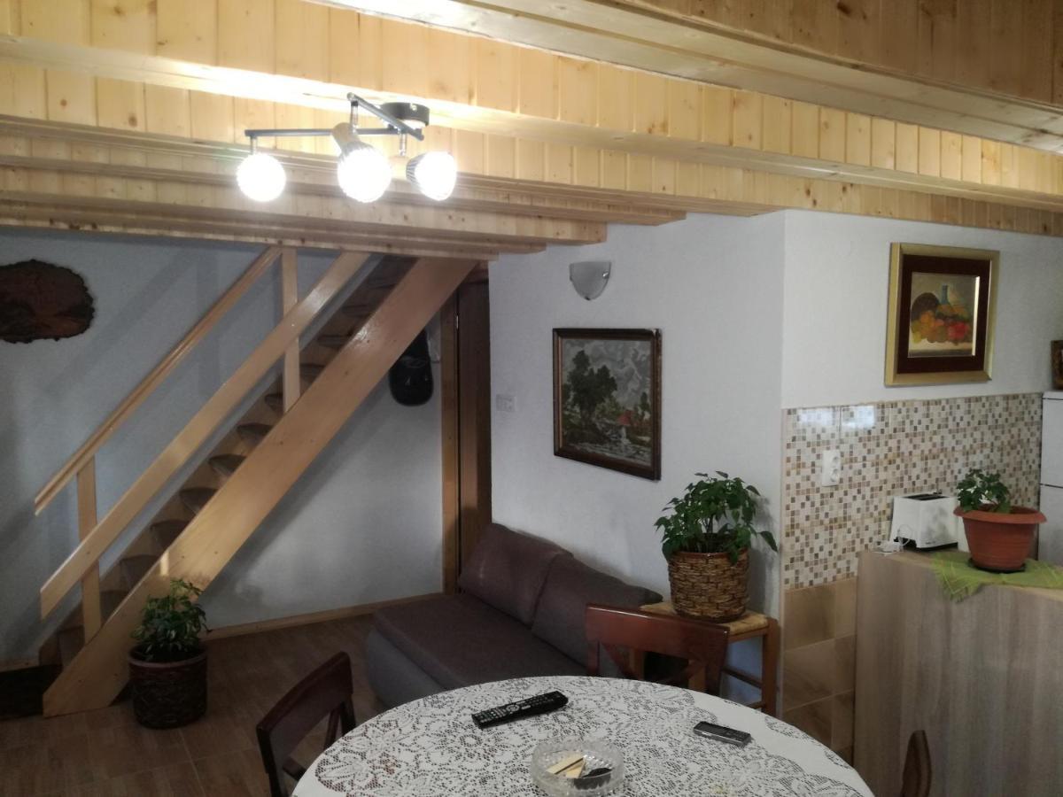 Apartmán Kuca Za Odmor "Jasna" Crni Lug Exteriér fotografie